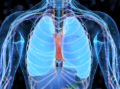 Important Medicine Safety Information Gabapentinoids