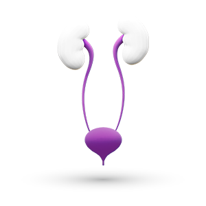 Men's Health Portfolio