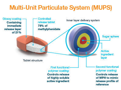 Indication, Mode of Release and Bioequivalence 
